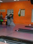 Vlet dt na bowling11 height=